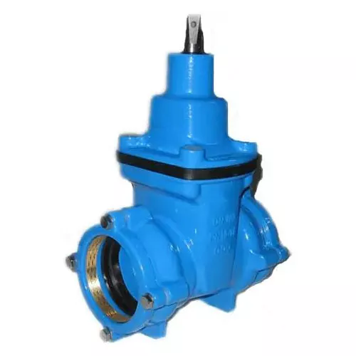 Threaded F5 Resilient Gate Valves