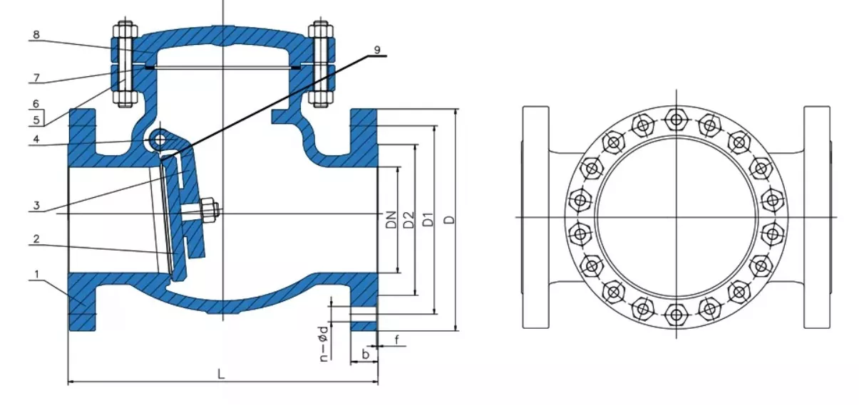 BS5153 Swing Check Valve