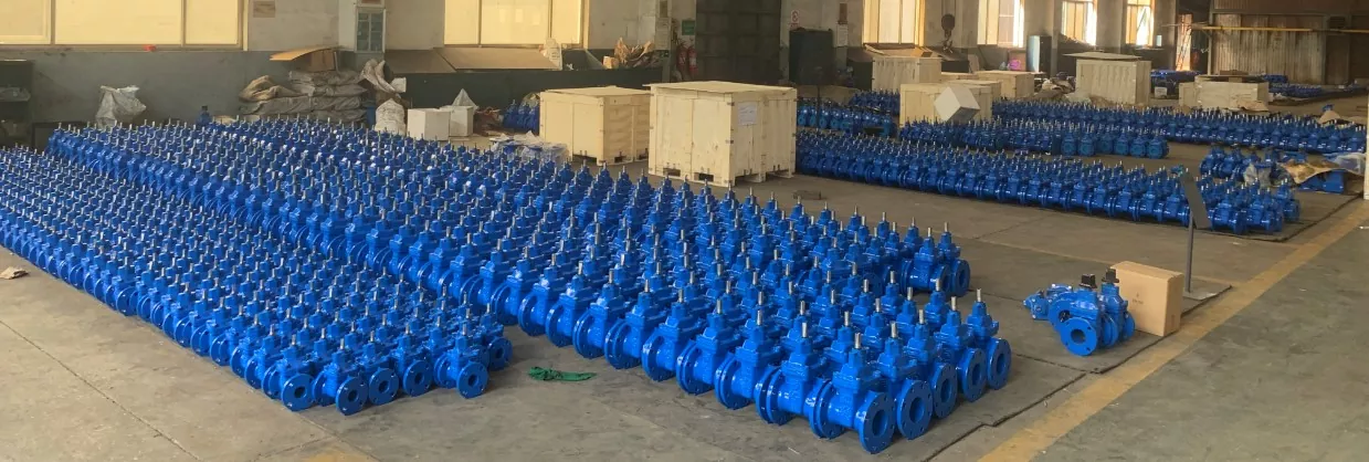 Cast Iron Din Globe Valves