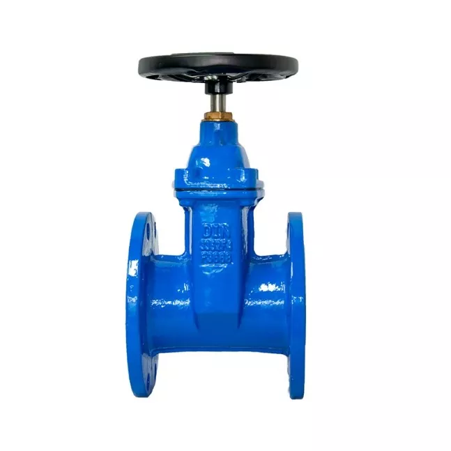 DIN F4 resilient seated gate valve