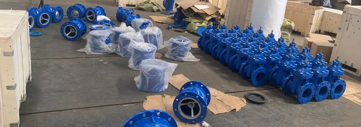 Electric DIN F5 Resilient Gate Valves