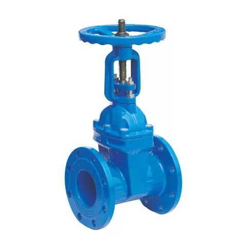 Rising Stem Resilient Gate Valve