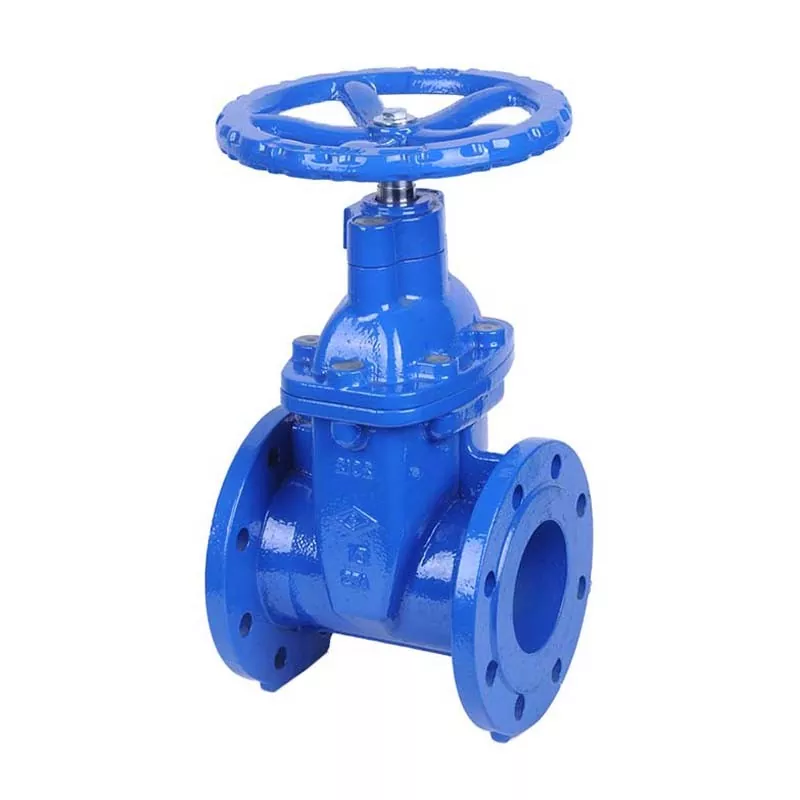 Wedge BS5163 Resilient Gate Valve