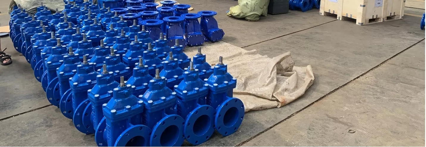 Wedge BS5163 Resilient Gate Valve