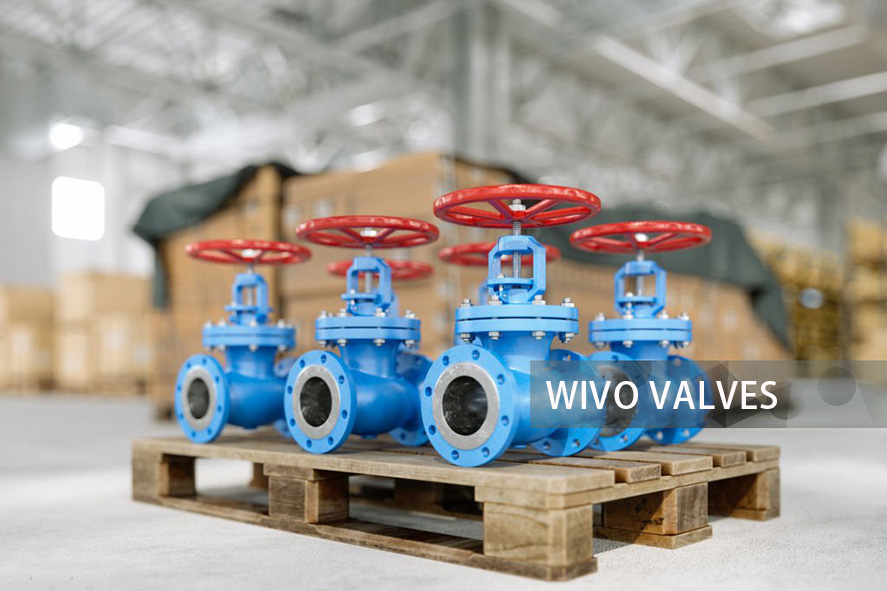 ANSI Globe Valves