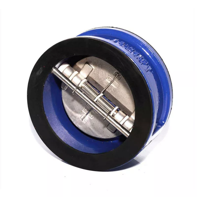 Swing Check Valves