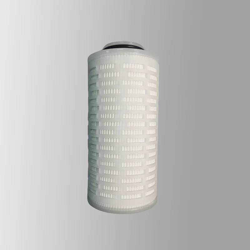 Bio-Burden Reduction Grade PES Filter Cartridge