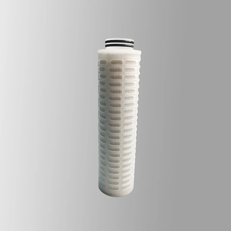 Bio-Burden Reduction Grade PES Filter Cartridge