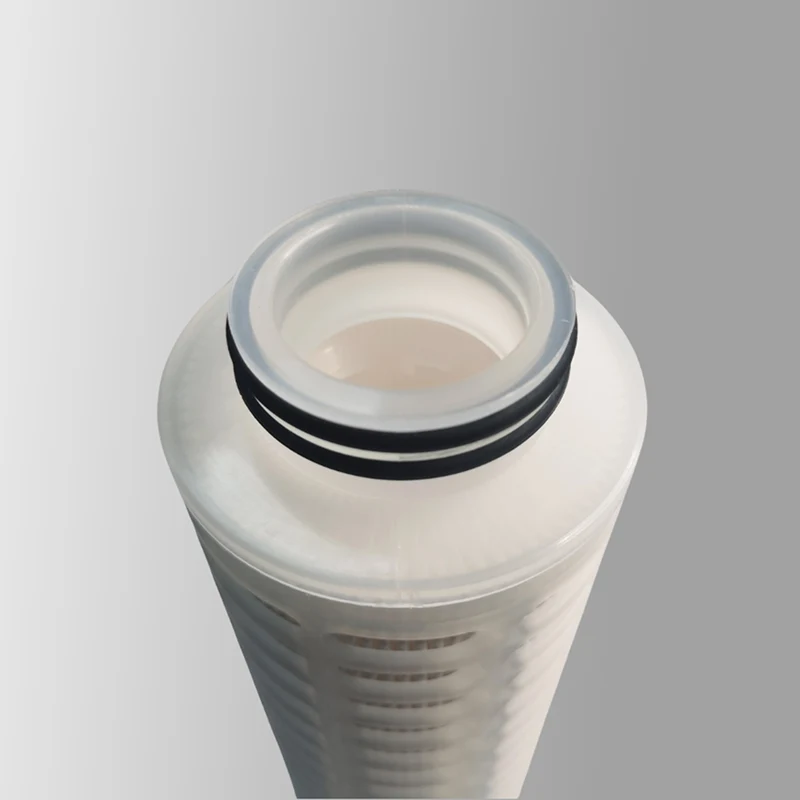 Bio-Burden Reduction Grade PES Filter Cartridge