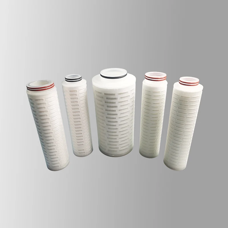 Bio-Burden Reduction Grade PTFE Filter Cartridge