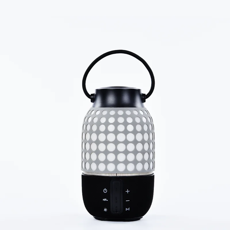 Bluetooth Portable Speaker