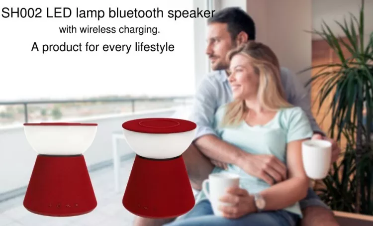 Multifunctional Bluetooth Speaker