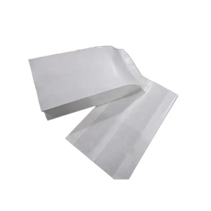 White Color Coated PE Paper Bag