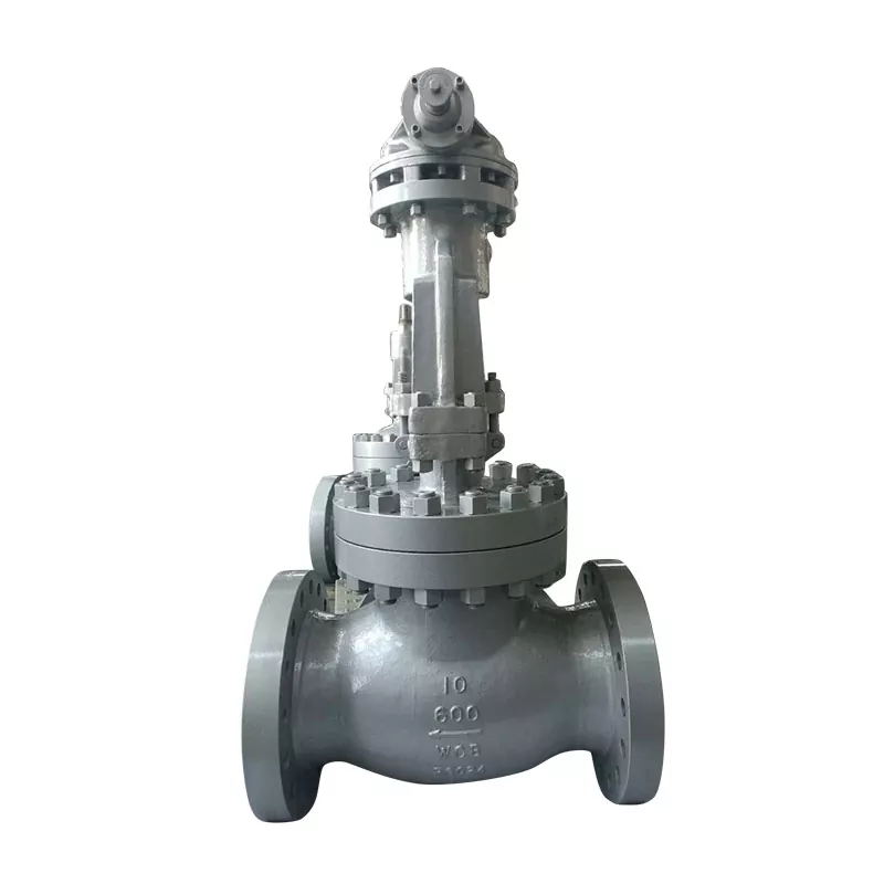 API Globe Valves