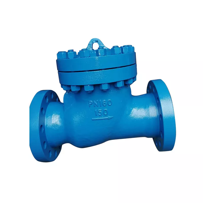 Cast Steel Check Valves