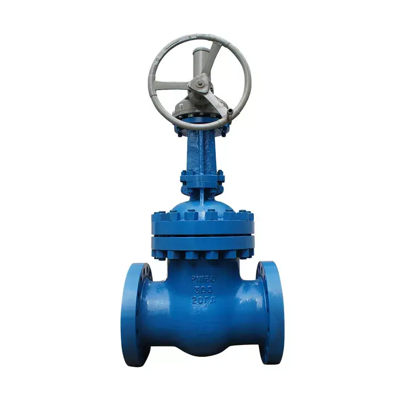 Cast Steel Gate Valves