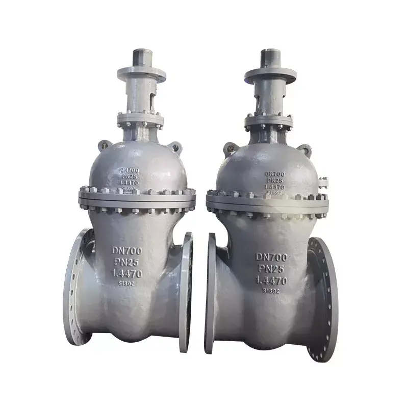 DIN Gate Valves