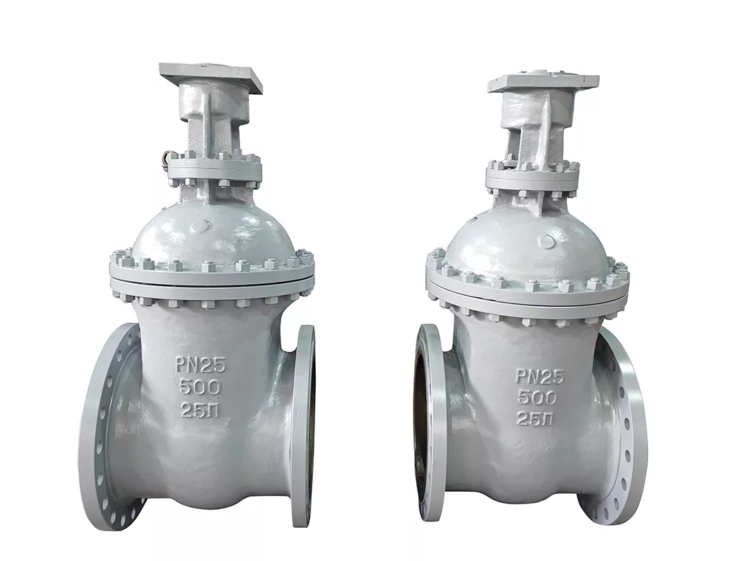 Non Rising Stem Gate Valves