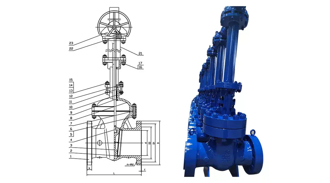 Cryogenic Extension Gate Valves