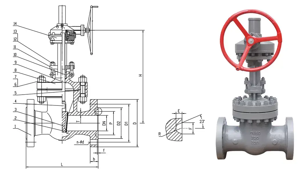 CS Gate Valves