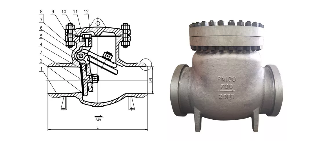 GOST Check Valves