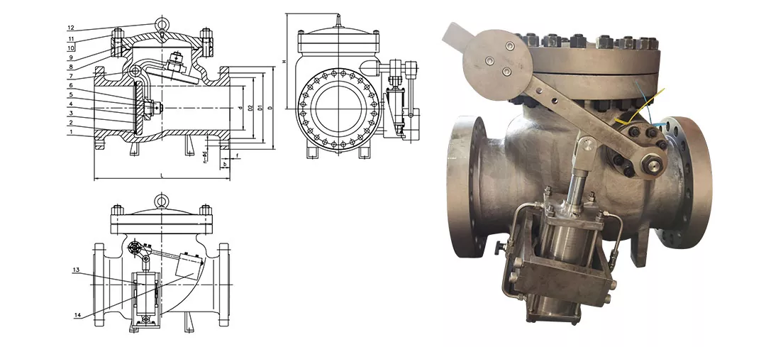 High Pressure Check Valves