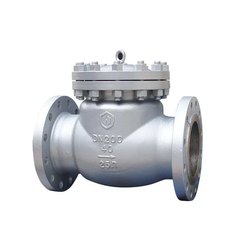 Swing Check Valves